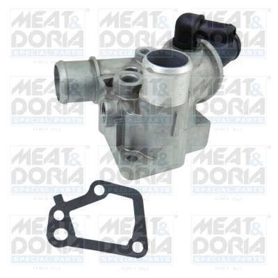 Thermostat, coolant